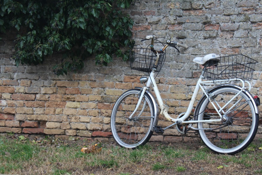 halfords daisy bike